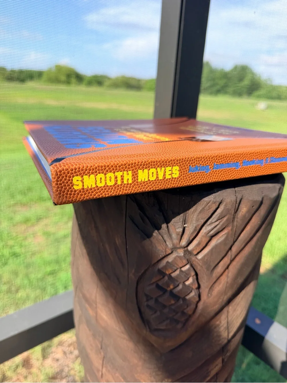 Smooth Moves Basketball Book Derek Gentile Juking Jamming Hooking Slamming